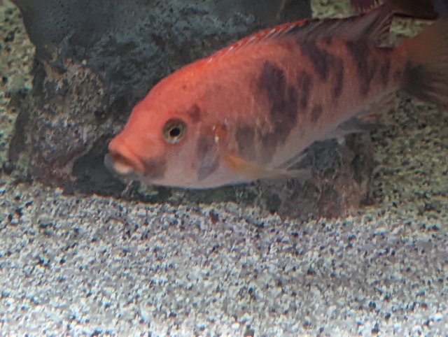 PXL_20220720_050412392.jpg