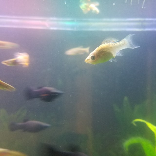 20220720_204605.jpg