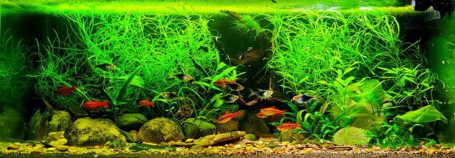 20220730_212037.jpg