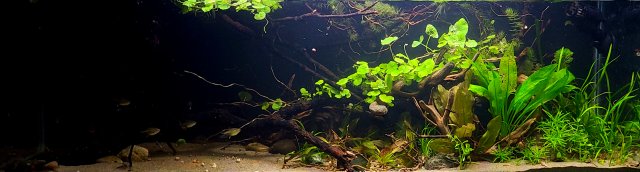 20220815_20561dgs8.jpg