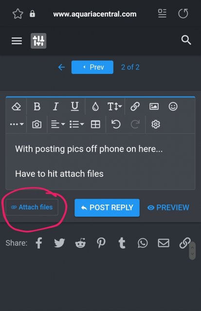 Screenshot_20220829-193657_Samsung Internet.jpg