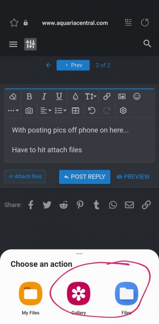 Screenshot_20220829-193708_Android System.jpg