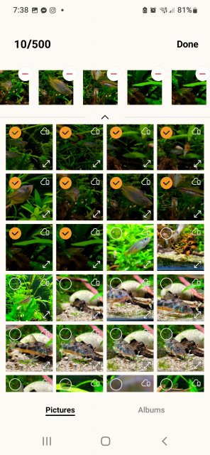 Screenshot_20220829-193808_Gallery.jpg