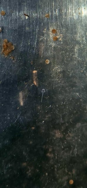 20220917_124029.jpg