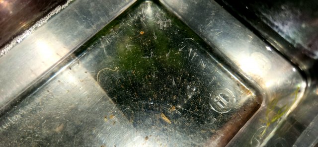 20220918_101031.jpg