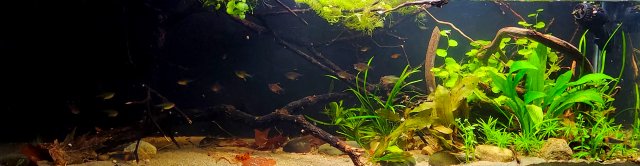 20220918_193003.jpg