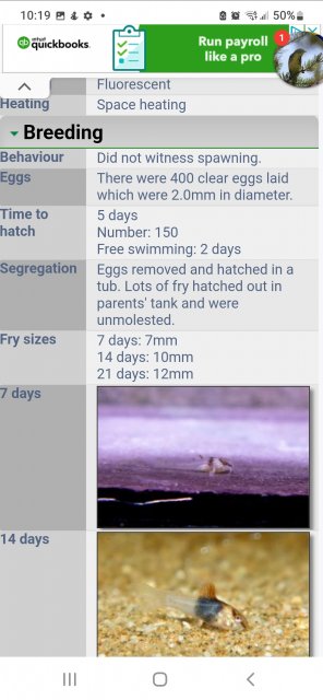 Screenshot_20220916-221905_Samsung Internet.jpg