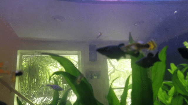 20220928_125045_1.gif