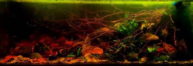 20221016_195557.jpg