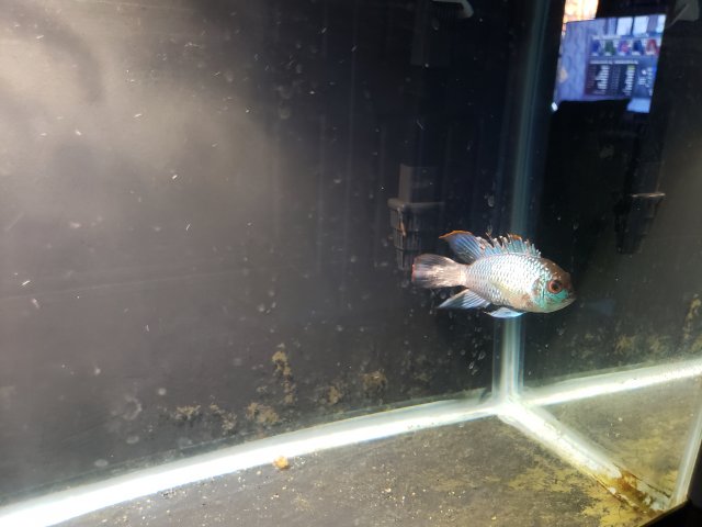 20221027_173358.jpg