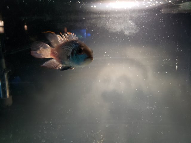 20221027_173310.jpg