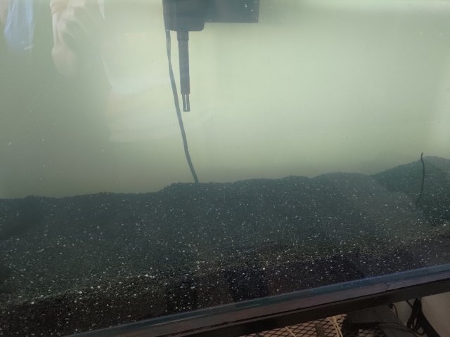 P_20221207_083615.jpg