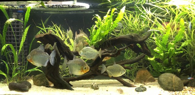 IMG_6006 Taken by Sue.jpeg IMG_6006 Taken by Sue.jpeg