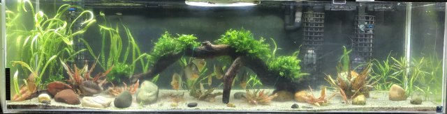 IMG_0856 crop.jpg IMG_0856 crop.jpg