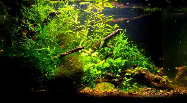 20230109_171412.jpg