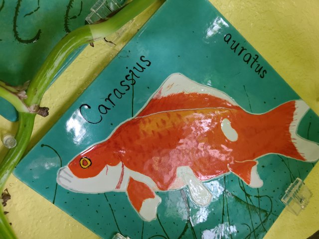 20230127_080657.jpg 20230127_080657.jpg