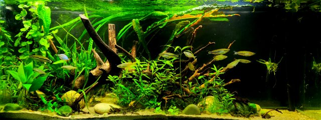20230127_173930.jpg