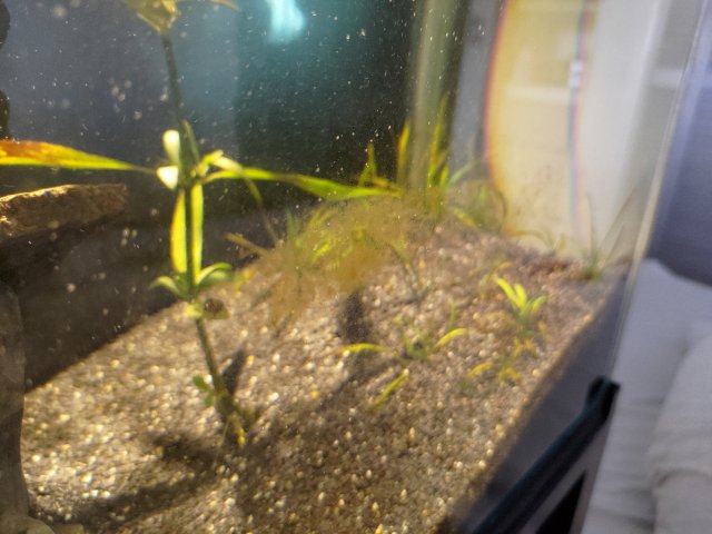 P_20230226_133212.jpg