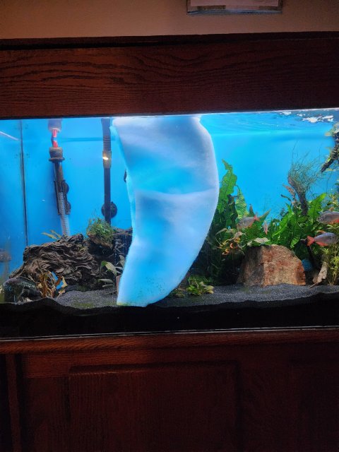 20230406_191647.jpg