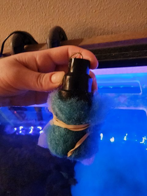 20230409_050348.jpg