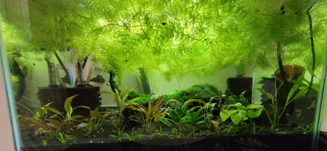10g_22_apr_2023.jpg