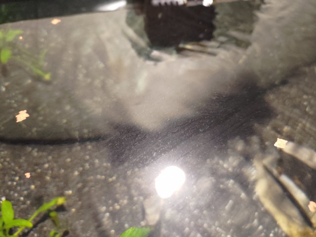 P_20230512_083457.jpg