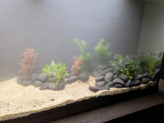 PXL_20230619_205529912.jpg