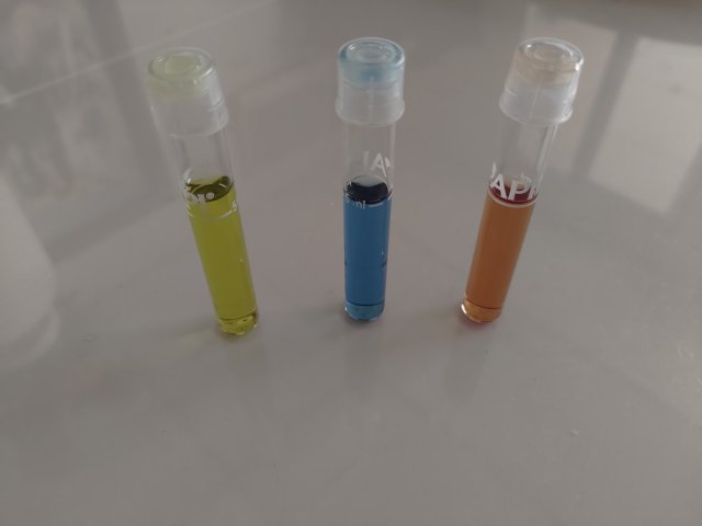 P_20230625_153058.jpg