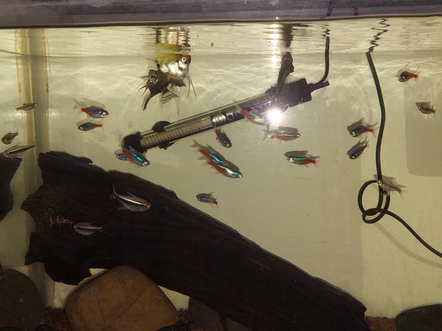 20230922_154718.jpg