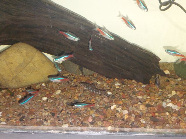 20230922_154606.jpg