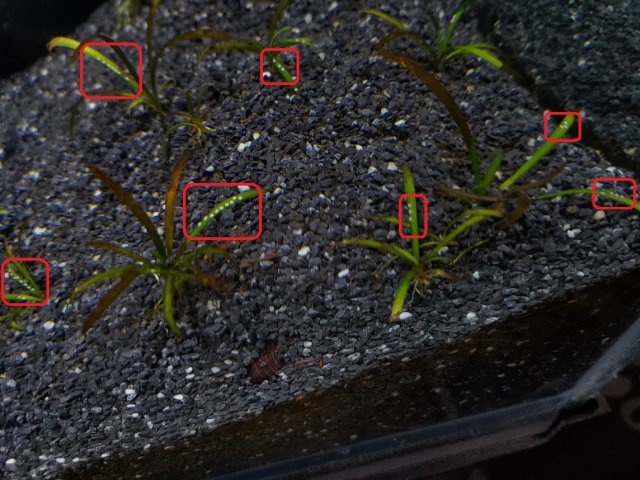 P_20230924_102132.jpg