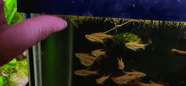 20230921_160351_1.gif