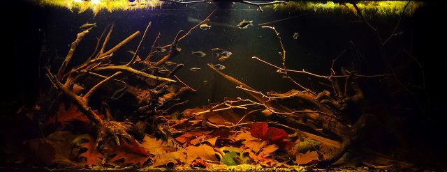 20231011_214547.jpg