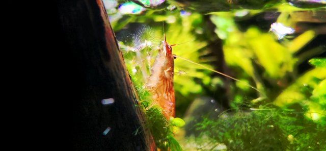 20231009_152041.jpg