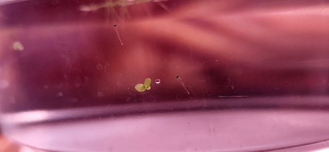 20231018_214348.jpg