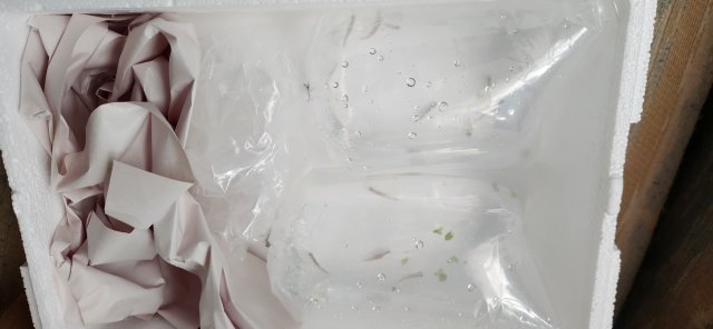 20231110_130038.jpg