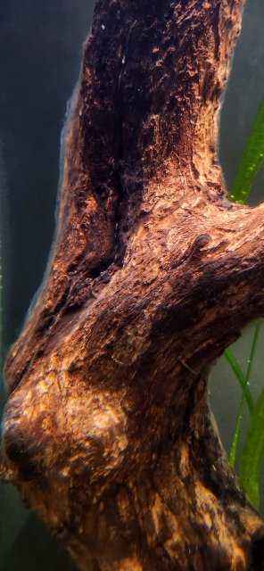 20231123_185110.jpg