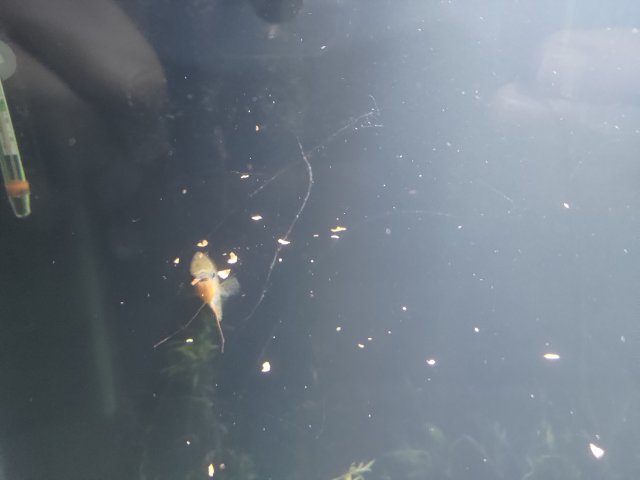 P_20231116_080737.jpg