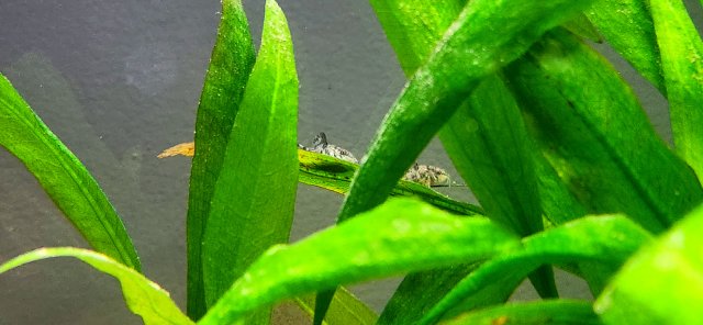 20231207_182608.jpg