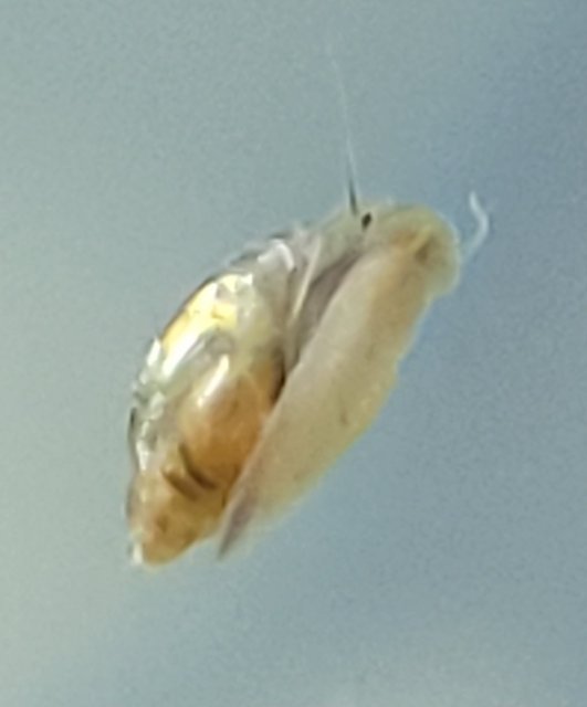 20240501_105450.jpg