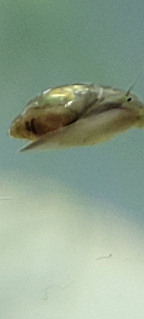 20240501_105711.jpg