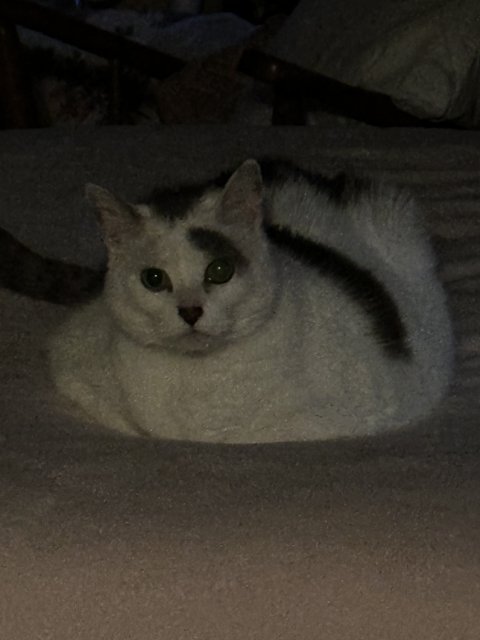 IMG_8064.jpeg