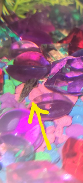 20240510_053010.jpg