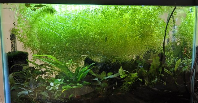 10_apr_2024.jpg