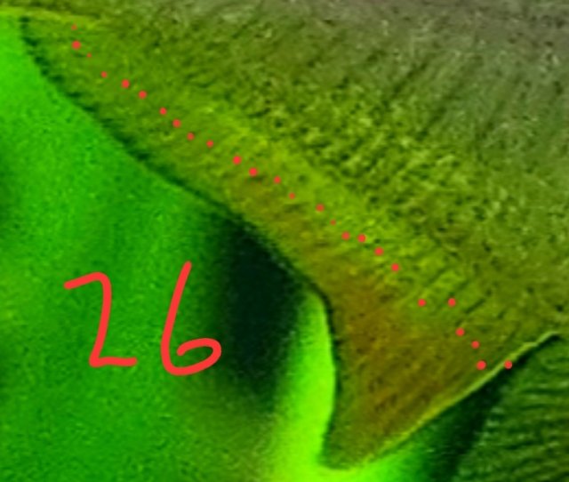 1000150729.jpg