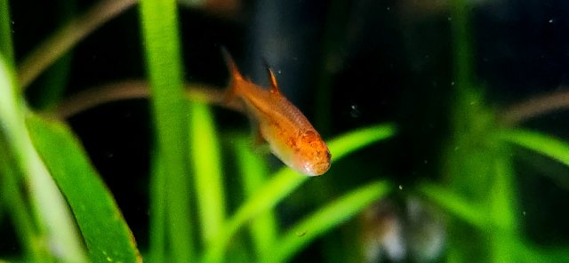 20240716_192748(0).jpg
