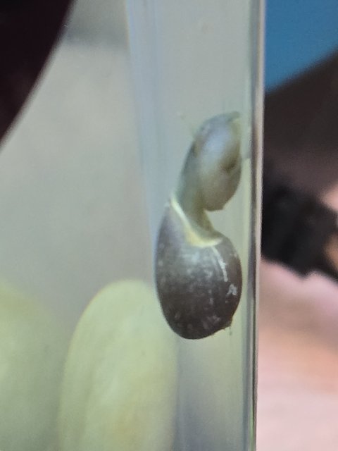20240819_135712.jpg