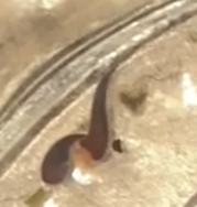 1725547347411.png