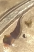 1725547358206.png