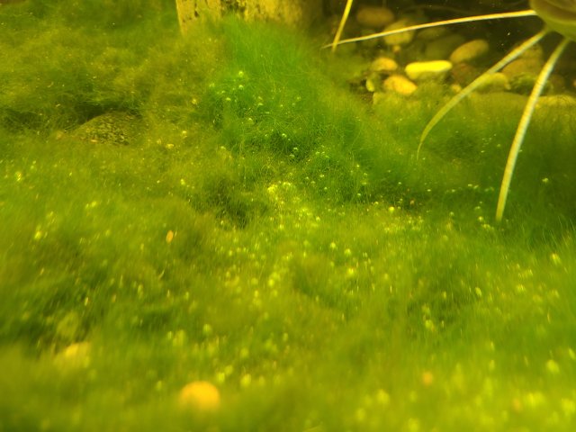 20250117_135329.jpg